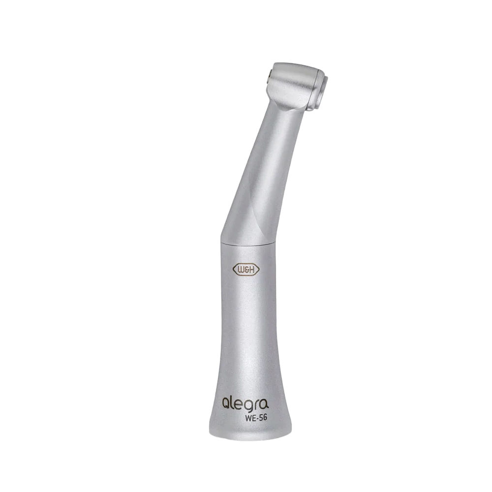 alegra we-Photoroom (1)